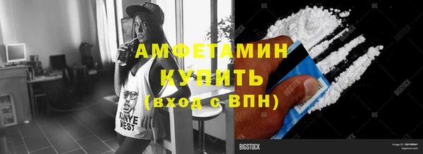 сатива Зерноград
