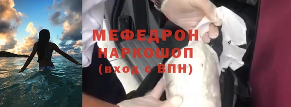 сатива Зерноград