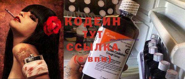 сатива Зерноград