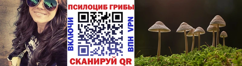 Купить где  Малаховка  Галлюциногенные грибы MAGIC MUSHROOMS 